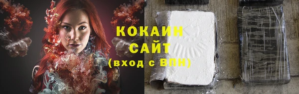 сатива Богданович
