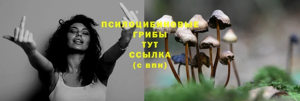 эйфоретик Белоозёрский