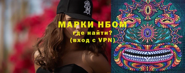 сатива Богданович